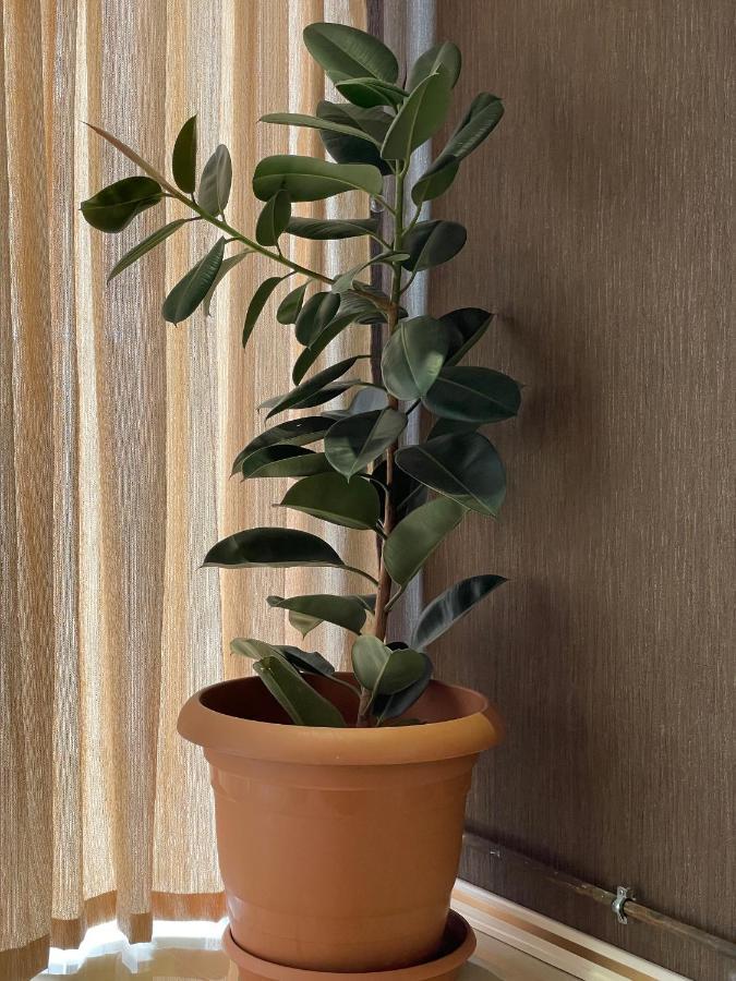 Park Azure Louvre Apartment Baku Luaran gambar